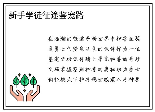 新手学徒征途鉴宠路